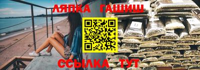 амф Гай
