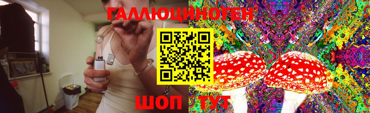 Галлюциногенные грибы MAGIC MUSHROOMS  наркошоп  Михайловка  Вход с VPN 